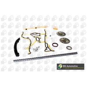 Cam / Timing Chain Kit With Gear