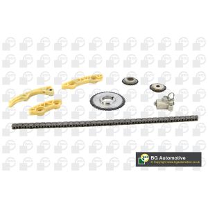 Cam / Timing Chain Kit With Gear