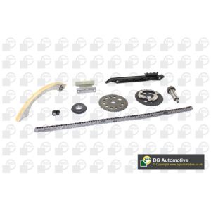 Cam / Timing Chain Kit With Gear