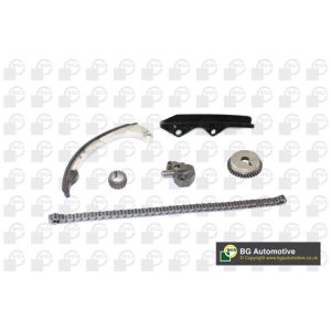 Cam / Timing Chain Kit With Gear