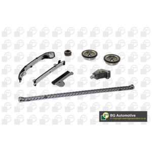 Cam / Timing Chain Kit With Gear