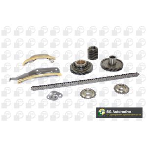 Cam / Timing Chain Kit With Gear