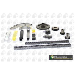 Cam / Timing Chain Kit With Gear