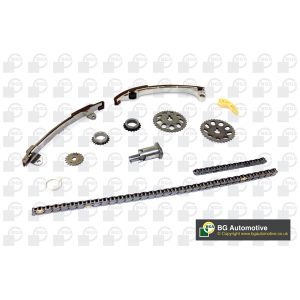 Cam / Timing Chain Kit With Gear