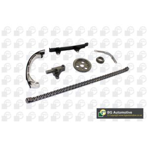 Cam / Timing Chain Kit With Gear