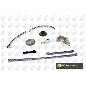 Cam / Timing Chain Kit With Gear