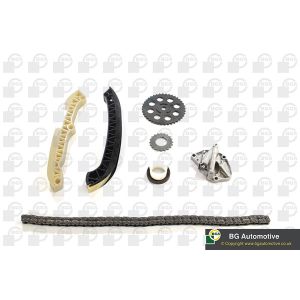 Cam / Timing Chain Kit With Gear