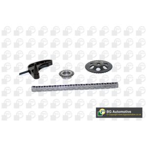 Cam / Timing Chain Kit With Gear