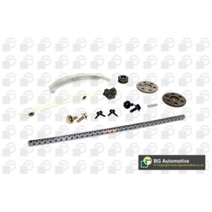 Cam / Timing Chain Kit With Gear