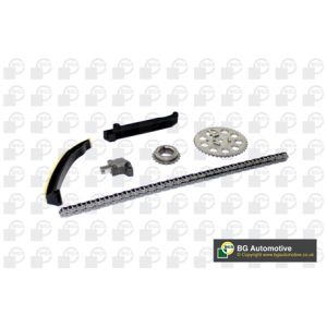 Cam / Timing Chain Kit With Gear