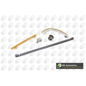 Cam / Timing Chain Kit With Gear