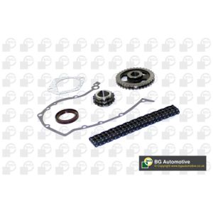 Cam / Timing Chain Kit With Gear