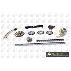 Cam / Timing Chain Kit With Gear