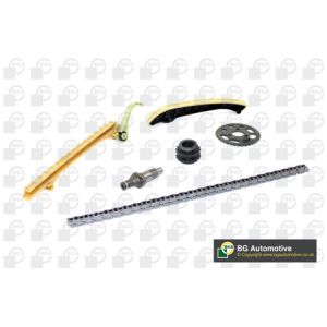 Cam / Timing Chain Kit With Gear