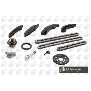 Cam / Timing Chain Kit With Gear