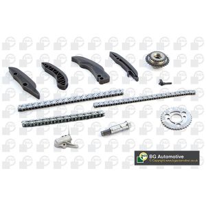 Cam / Timing Chain Kit With Gear