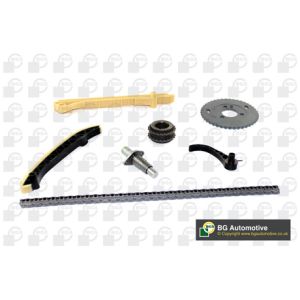 Cam / Timing Chain Kit With Gear