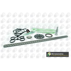 Cam / Timing Chain Kit With Gear