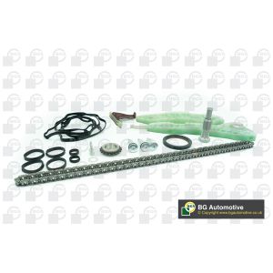 Cam / Timing Chain Kit With Gear