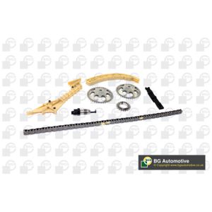 Cam / Timing Chain Kit With Gear