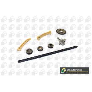 Cam / Timing Chain Kit With Gear