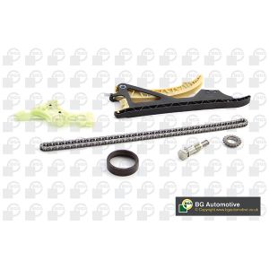 Cam / Timing Chain Kit With Gear