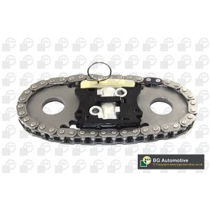 Cam / Timing Chain Kit With Gear