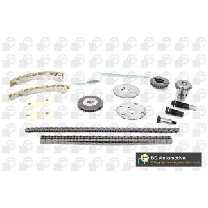 Cam / Timing Chain Kit With Gear