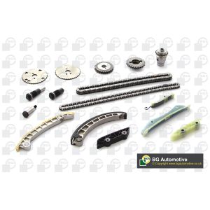 Cam / Timing Chain Kit With Gear