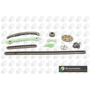 Cam / Timing Chain Kit With Gear