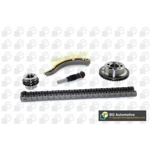 Cam / Timing Chain Kit With Gear