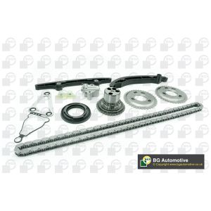 Cam / Timing Chain Kit With Gear