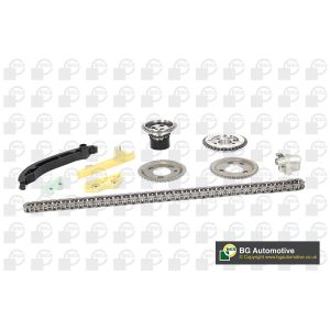 Cam / Timing Chain Kit With Gear