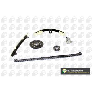 Cam / Timing Chain Kit With Gear