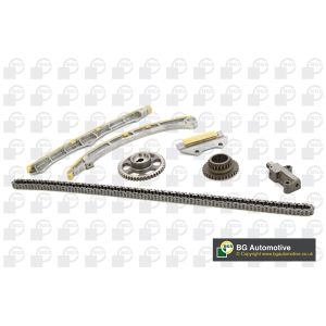 Cam / Timing Chain Kit With Gear