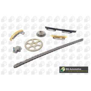 Cam / Timing Chain Kit With Gear