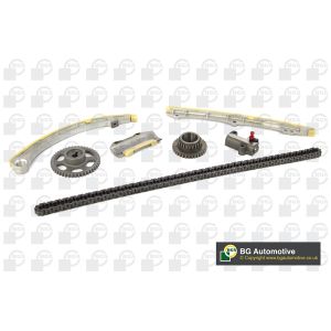 Cam / Timing Chain Kit With Gear