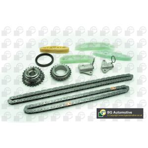 Cam / Timing Chain Kit With Gear