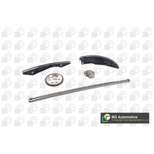 Cam / Timing Chain Kit With Gear