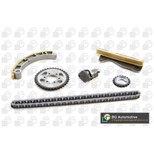 Cam / Timing Chain Kit With Gear