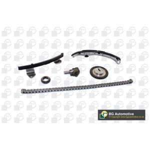 Cam / Timing Chain Kit With Gear