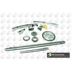 Cam / Timing Chain Kit With Gear