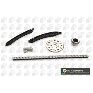 Cam / Timing Chain Kit With Gear