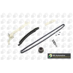 Cam / Timing Chain Kit With Gear