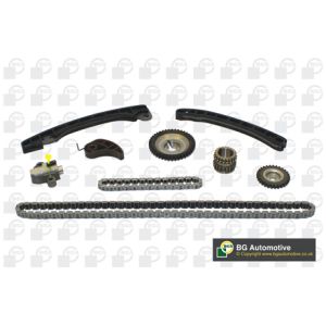 Cam / Timing Chain Kit With Gear