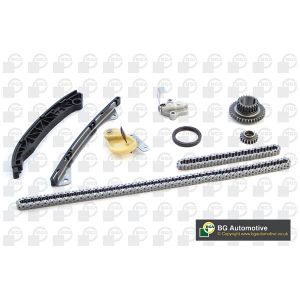 Cam / Timing Chain Kit With Gear