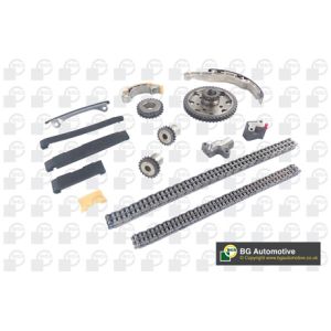 Cam / Timing Chain Kit With Gear