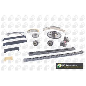 Cam / Timing Chain Kit With Gear