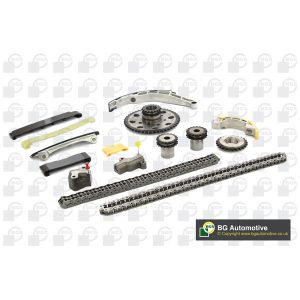 Cam / Timing Chain Kit With Gear