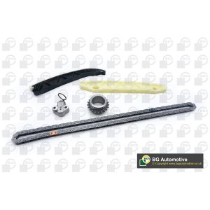 Cam / Timing Chain Kit With Gear